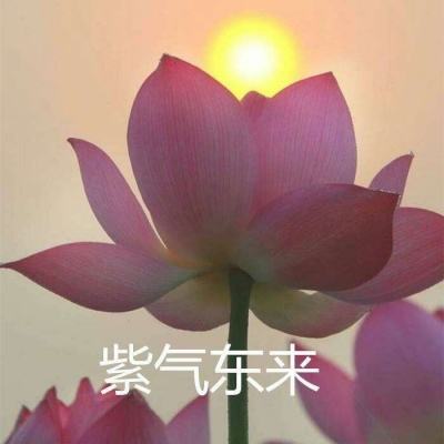 新誓记手游官方版下载